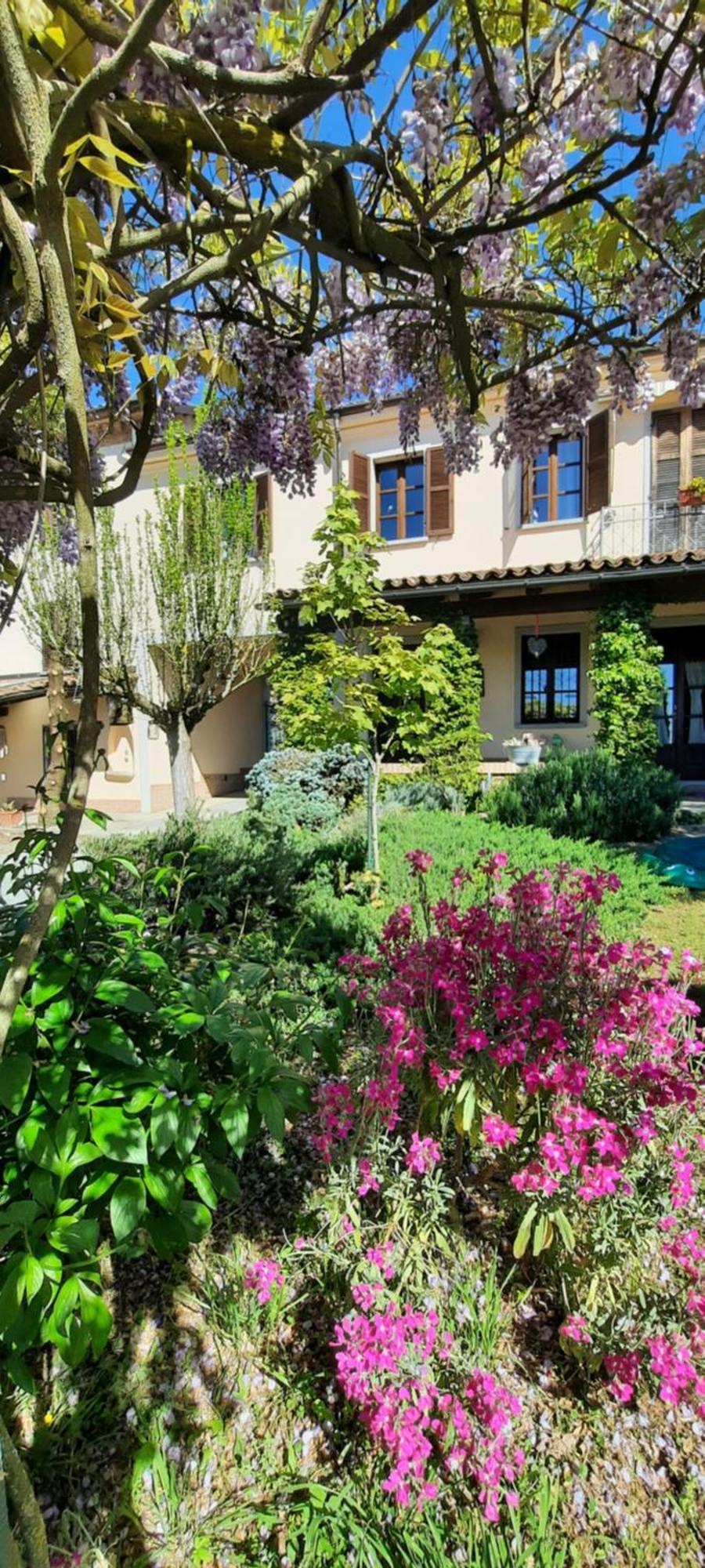 San Rocco Di Villa Di Isola D'Asti Extérieur photo